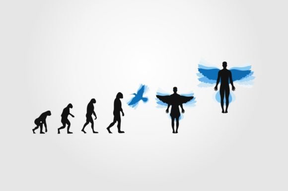 Download Evolution - Evolution Collection